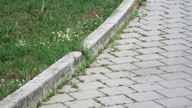 Weg mit seitlicher Begrenzung