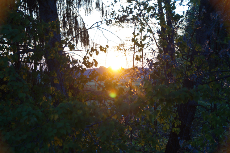 Sonnenuntergang am Wald