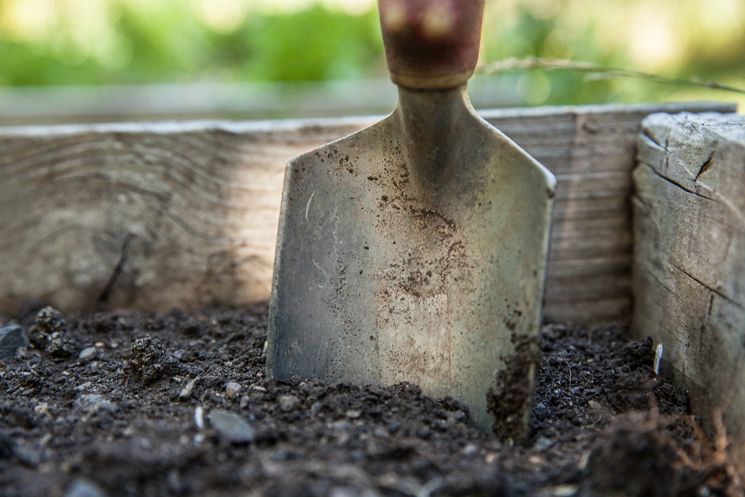 Gartenschaufel in der Erde