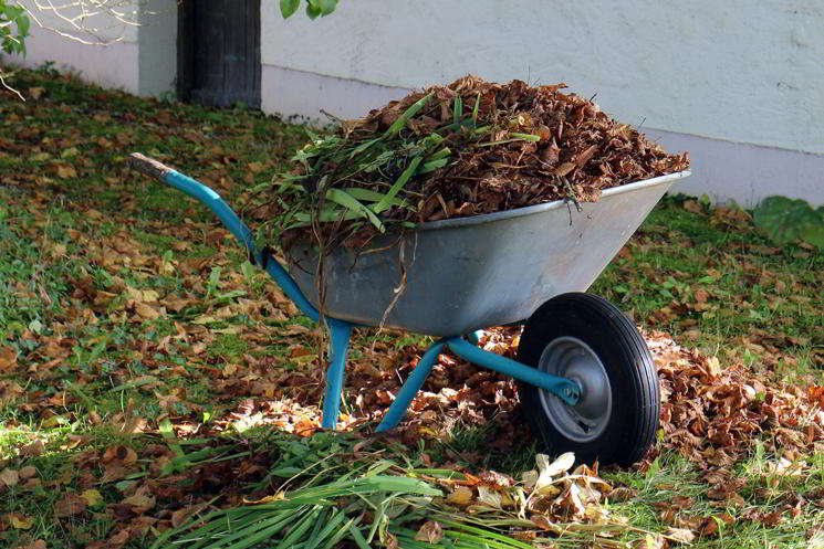 Schubkarre mit Gartenabfällen