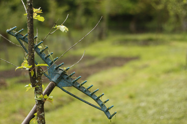 Rechen angelehnt an Baum