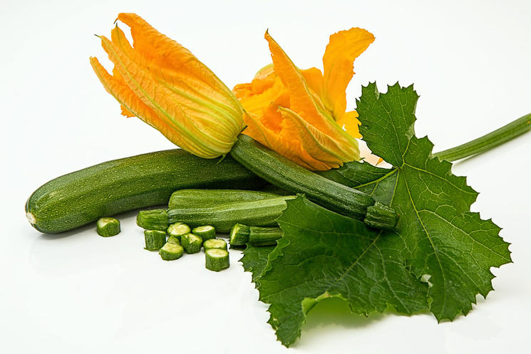 Zucchini mit Blüte