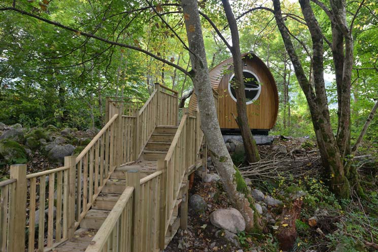 Halbrunde Glamping-Hütte mitten im Wald