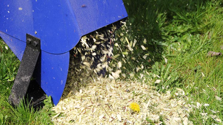 geschredderte Holzstücke fallen aus dem Häcksler