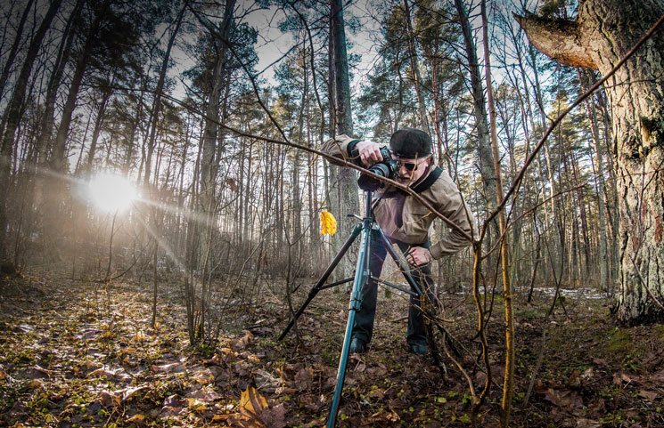 Fotoshooting im Wald