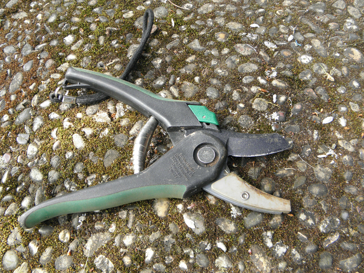 Gartenschere die auf dem Weg liegt