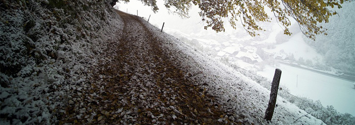 Verschneiter Weg im Wald