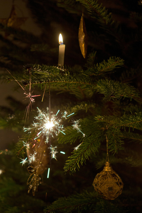 Cristbaum mit Kerzen geschmückt